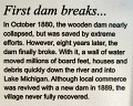 Michigan TC 2010-07 0346